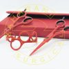 Zaharani Professional Shears